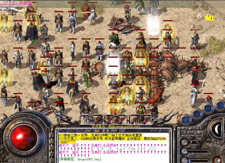11.jpg