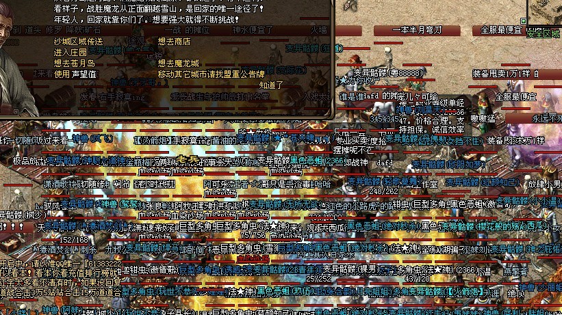 12.jpg
