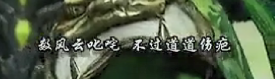 ˰.png