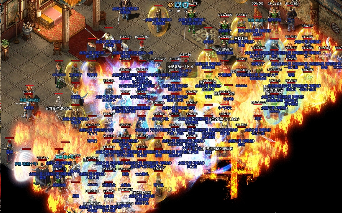 13.jpg
